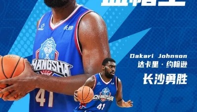 季后赛场均28分16篮板！媒体人：达卡里•约翰逊加盟浙江